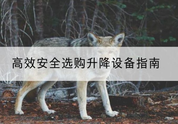 昭通升降货梯厂家推荐-*安全选购升降设备指南