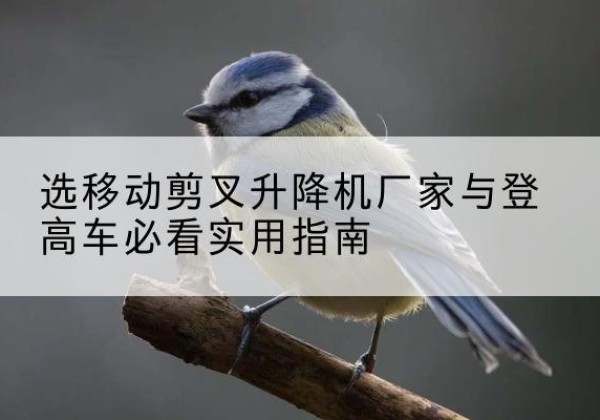 昭通电动升降机厂家-选移动剪叉升降机厂家与登高车必看实用指南