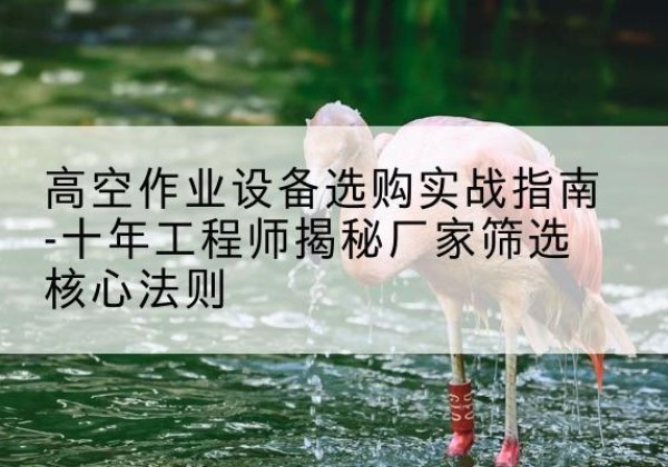 昭通剪叉式升降机厂家-高空作业设备选购实战指南-十年工程师揭秘厂家筛选核心法则